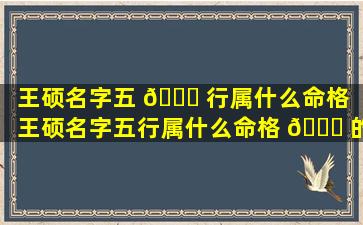 王硕名字五 💐 行属什么命格「王硕名字五行属什么命格 🐋 的」